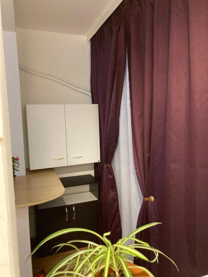 Royal National Arena - Free Parking Apartment *