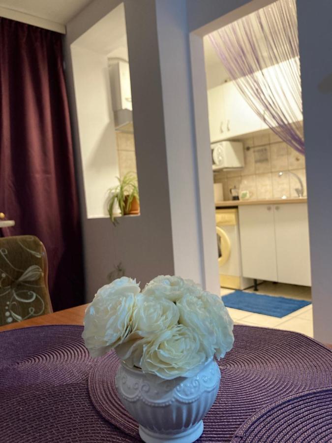 Royal National Arena - Free Parking Apartment *