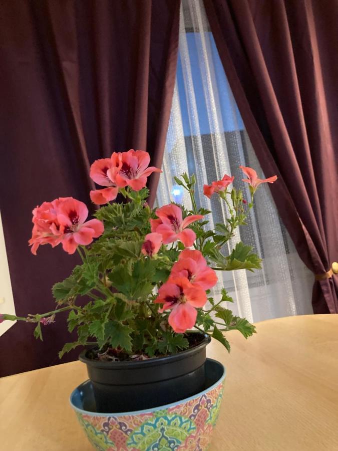 Apartment Royal National Arena - Free Parking